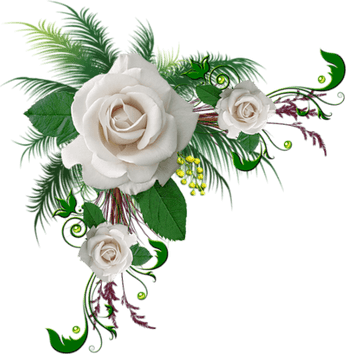 White Rose Border PNG