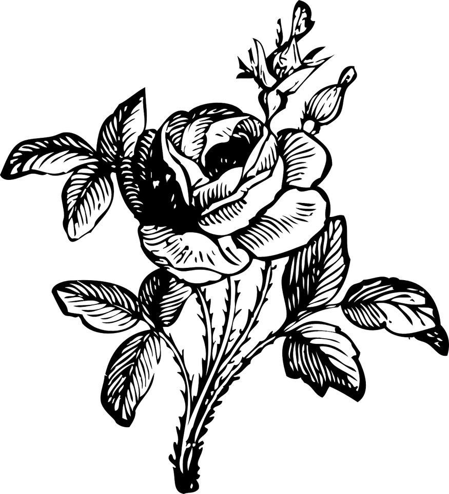 Black And White Flower PNG