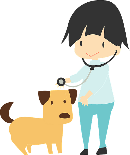 Veterinarian PNG