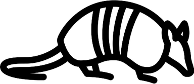 Armadillo PNG