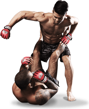 Grappling PNG