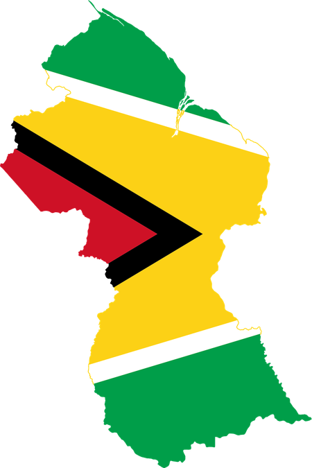 Guyana Flag PNG