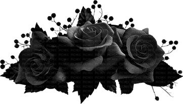 Roses Black PNG