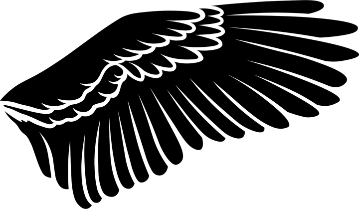 Eagle Wing PNG
