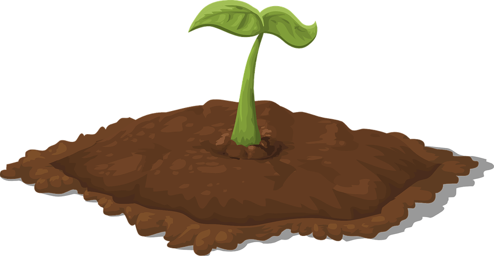 Soil PNG