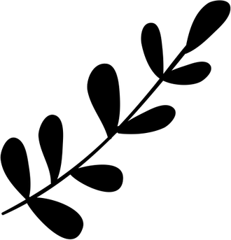 Leaf Black And White PNG