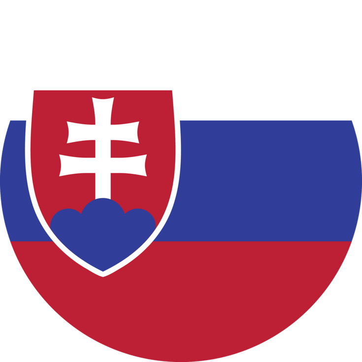 Slovakia Flag Circle PNG