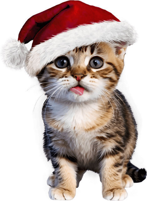 Christmas Meme PNG