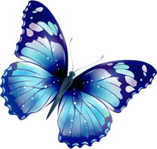 Blue Butterfly PNG