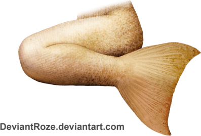 Mermaid Tail PNG