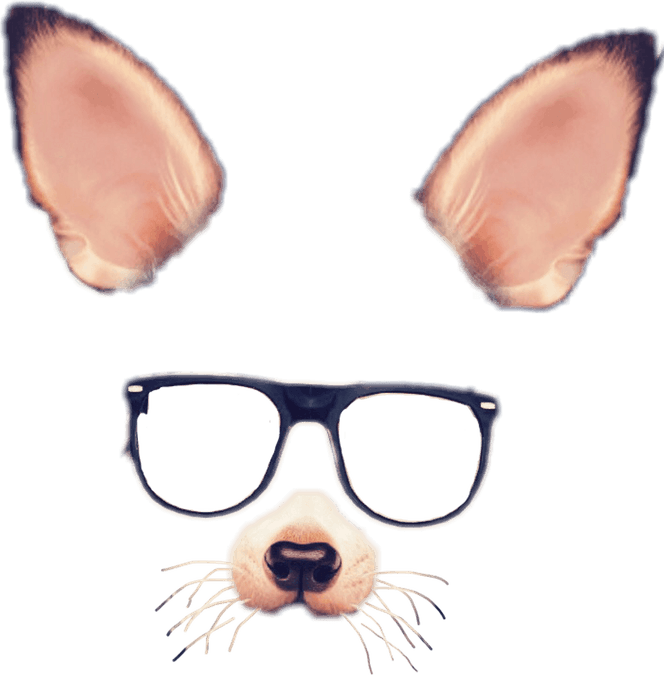 Snapchat Filter Dog PNG