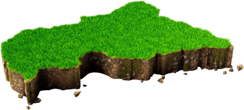 African Grass PNG