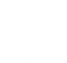 White Star PNG