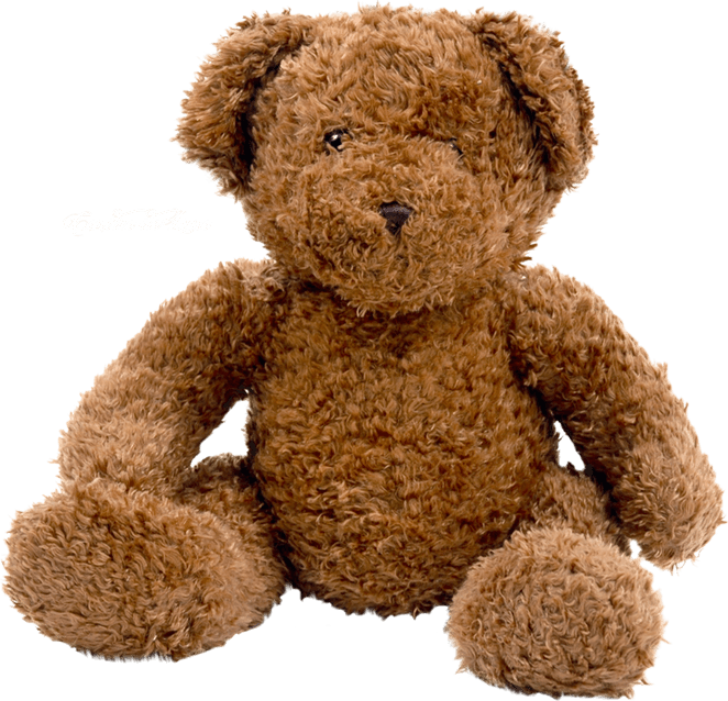 Teddy Bear PNG