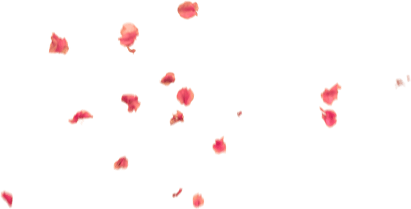 Falling Flower PNG