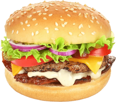 Healthy Burger PNG