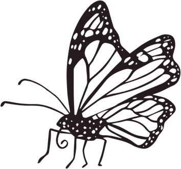 Life Is Strange Butterfly PNG