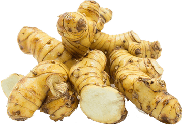 Galangal PNG