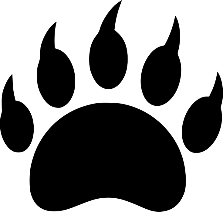 Animal Footprints PNG