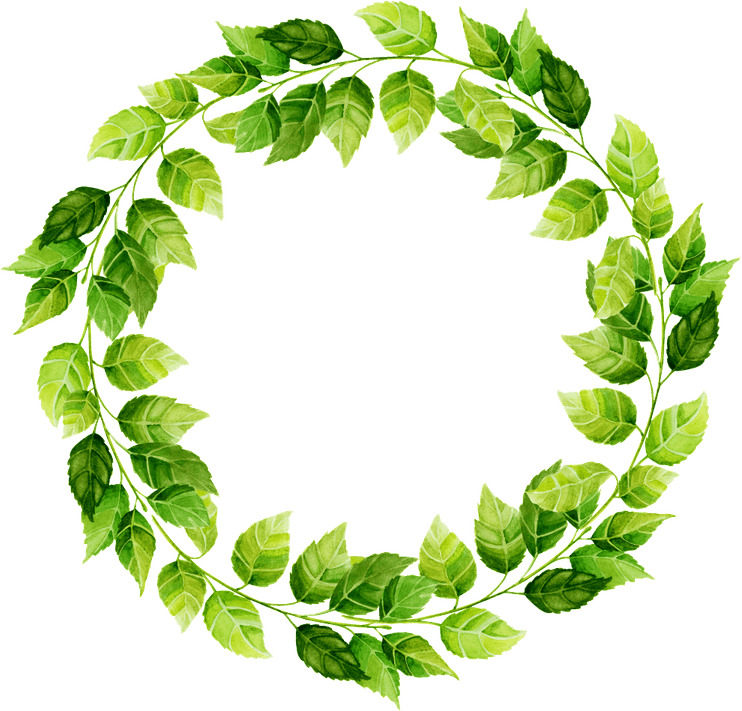 Leaf Circle PNG