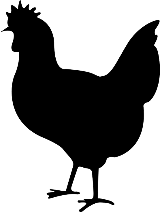 Chicken Bird PNG