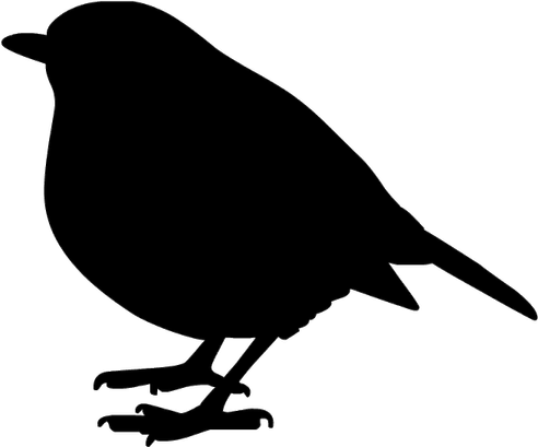 Christmas Bird PNG