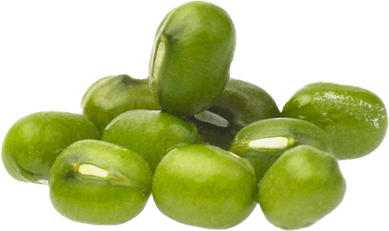 Mung Bean PNG