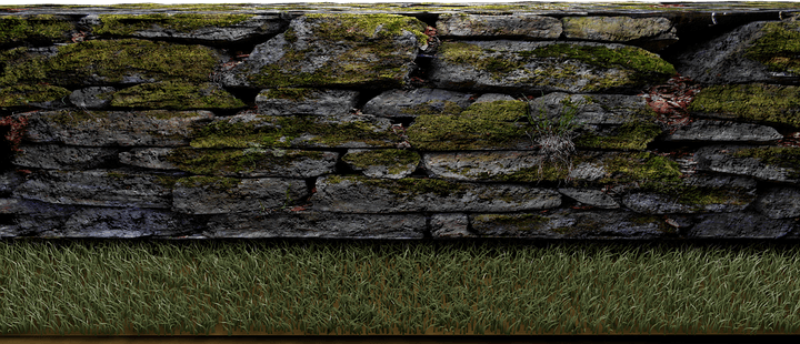 Meadow PNG