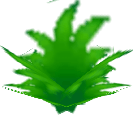 Tall Grass PNG