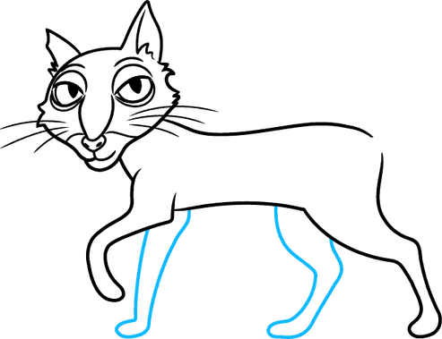 Coraline Cat PNG