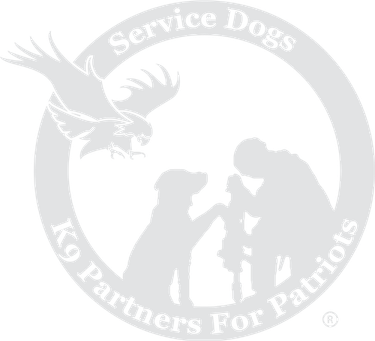 Patriots PNG