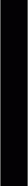 Vertical Line PNG