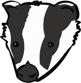 Badger PNG