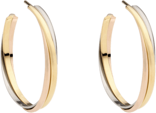 Hoop Earrings PNG