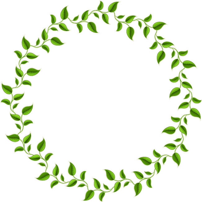 Leaf Frame PNG