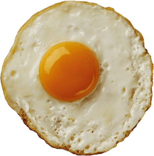Fried Egg PNG