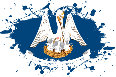 Louisiana Flag PNG