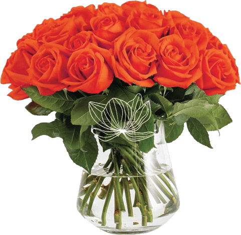 Long Stem Rose PNG