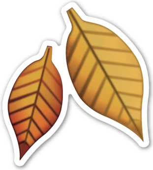 Leaf Emoji PNG