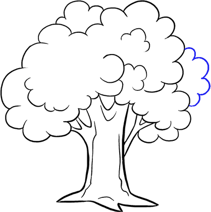 Tree Drawing PNG