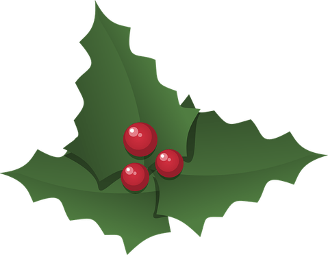 Holly PNG
