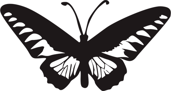 Butterfly Black PNG