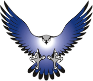 Falcon PNG