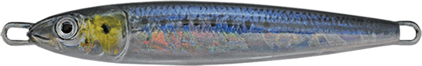 Bait Fish PNG