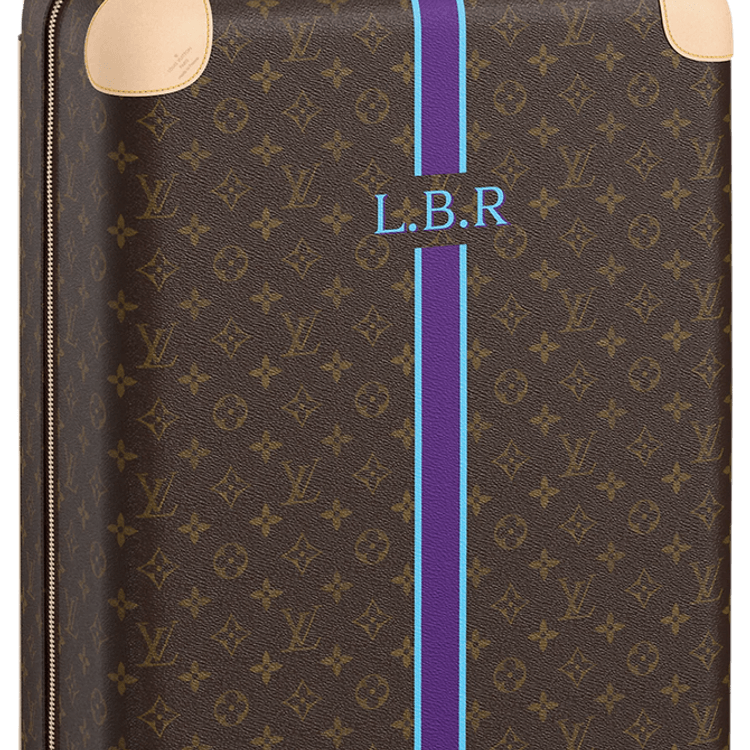 Louis Vuitton Brown Bag PNG