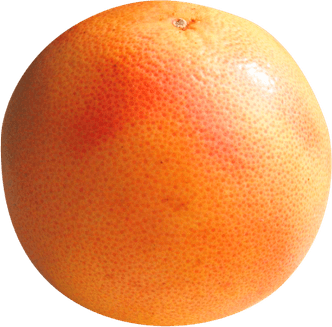 Grapefruit PNG