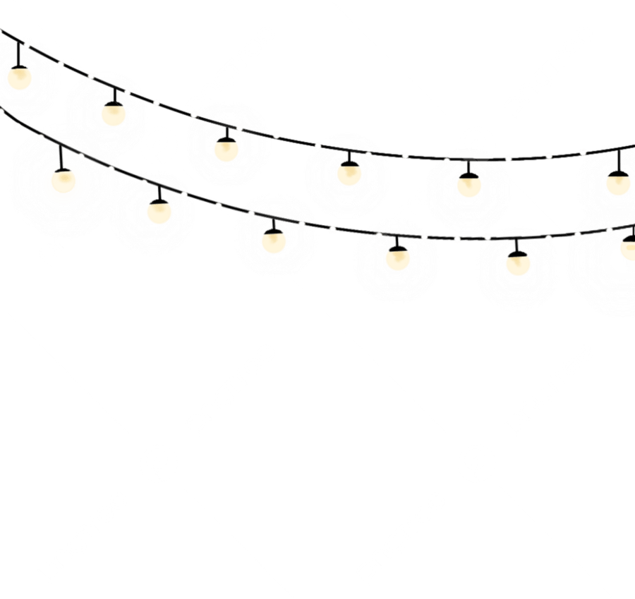 Fairy Light PNG