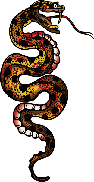 Kingsnakes PNG