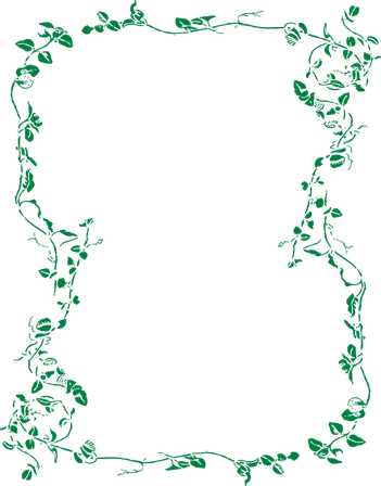 Jungle Leaves Border PNG