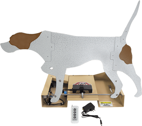 Hunting Dog PNG
